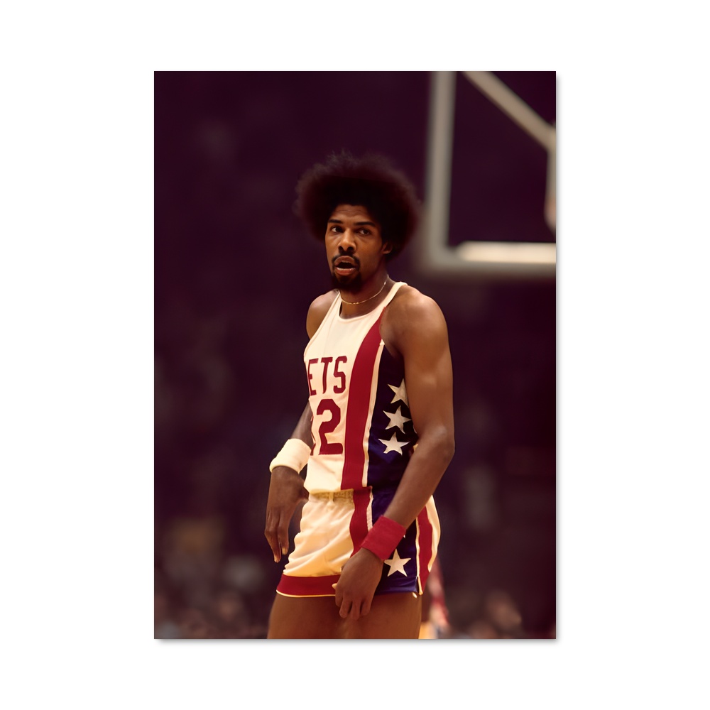 Poster Julius erving parquets – affiche Basketball